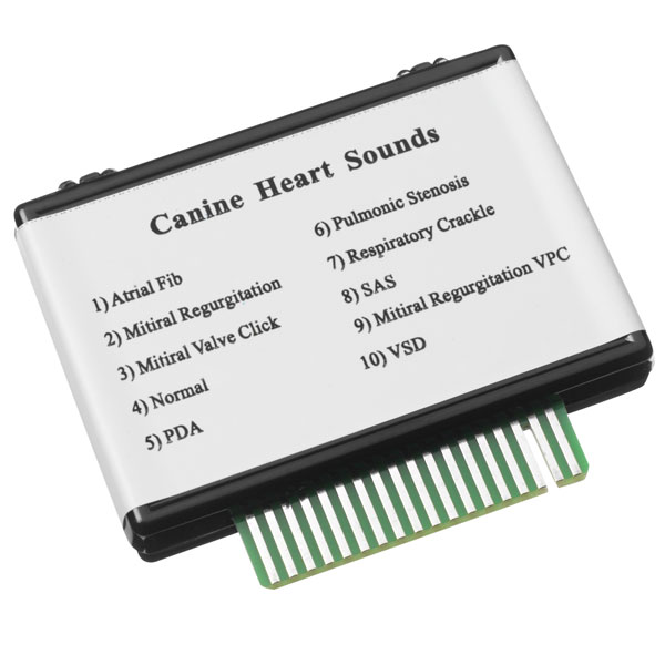 heartbeat sounds for puppies canine sounds module live wire learning heartbeat sounds for puppies canine sounds module live wire learning