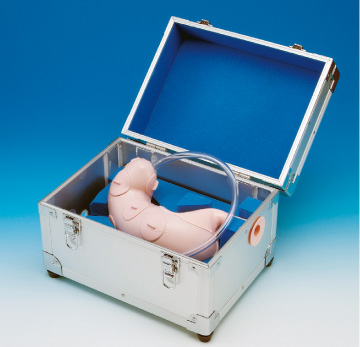 ESD(Endoscopic Submucosal Dissection) Training Model