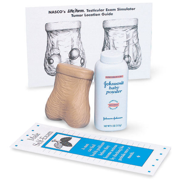 Life/form® Testicular Exam Simulator