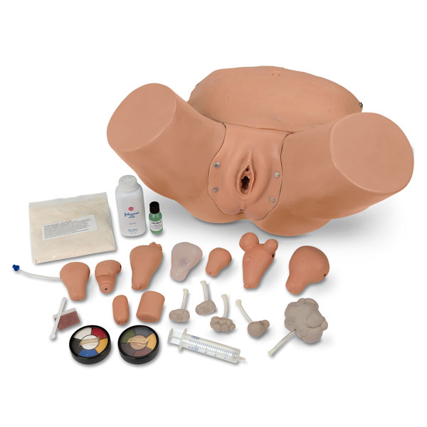 EVA Gynecological Training Manikin