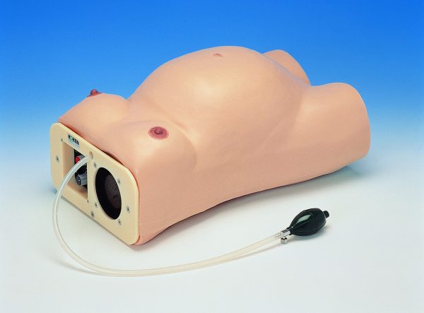 Maternity Model Type II