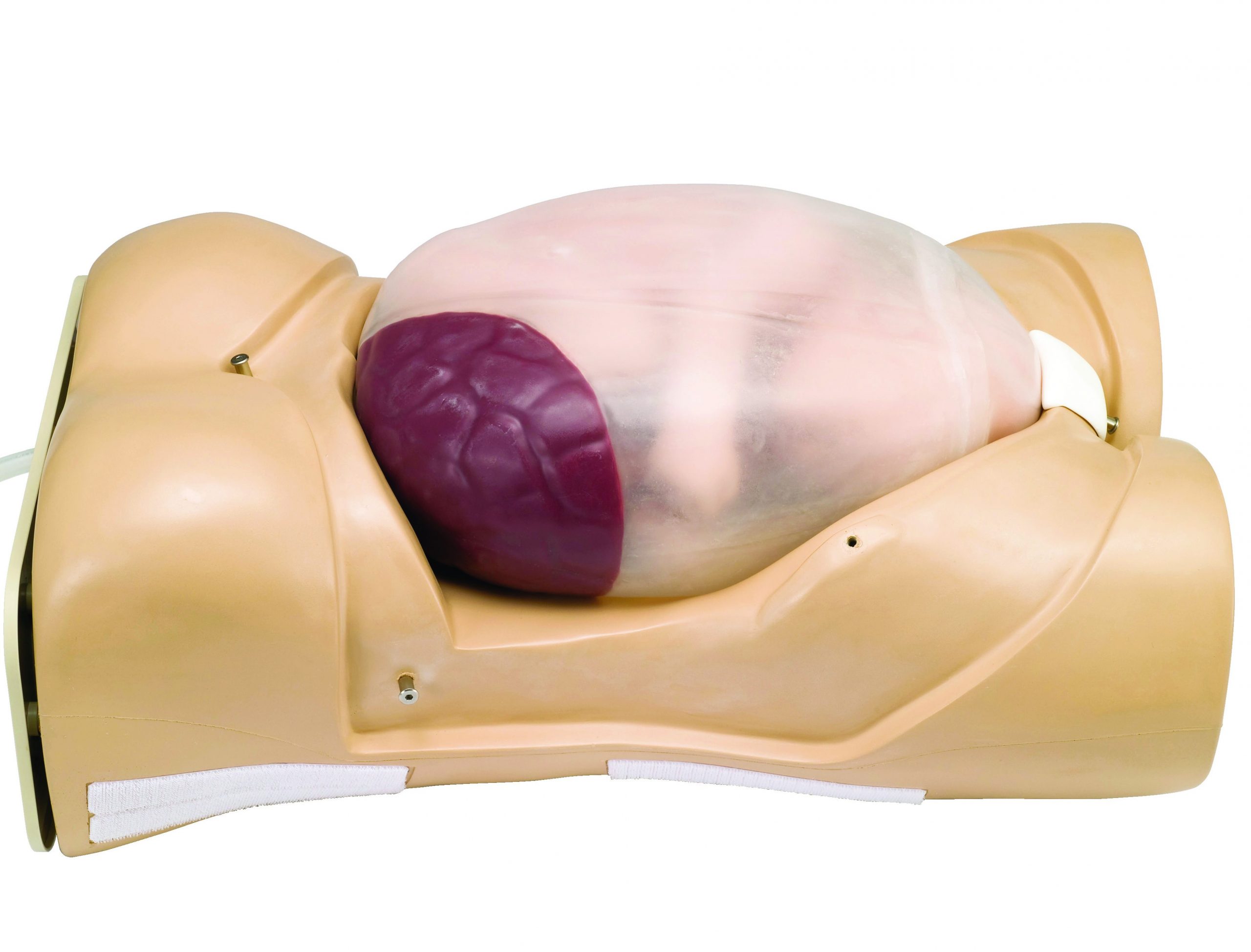 Maternity model with fetal heartbeat monitoring LM043N