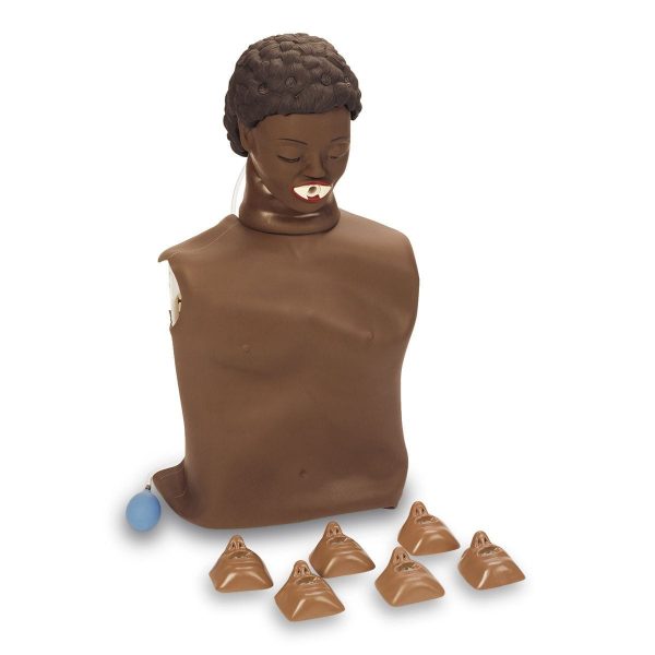 CPARLENE CPR TORSO (dark skin) with Hard Case LF03816